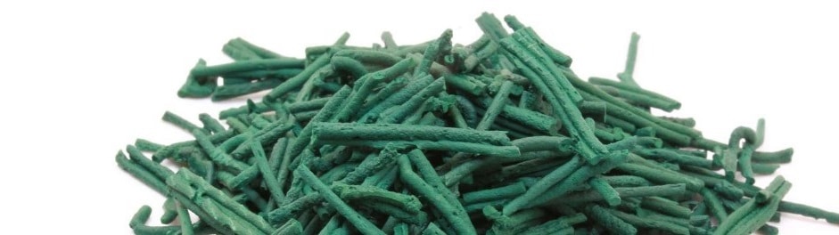 Ferme de production de spiruline en France