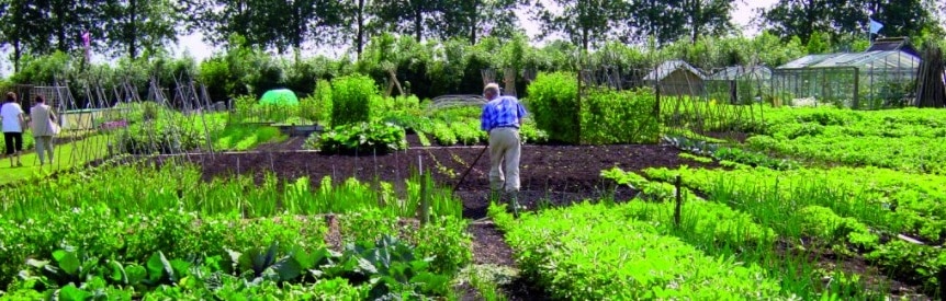 Image de micro-organisme agricole coloré