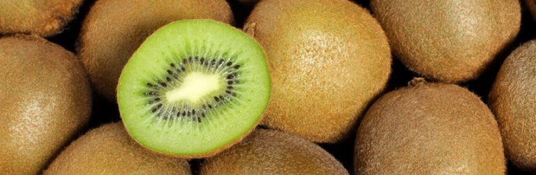 Kiwis mûrs frais sur un marché agricole