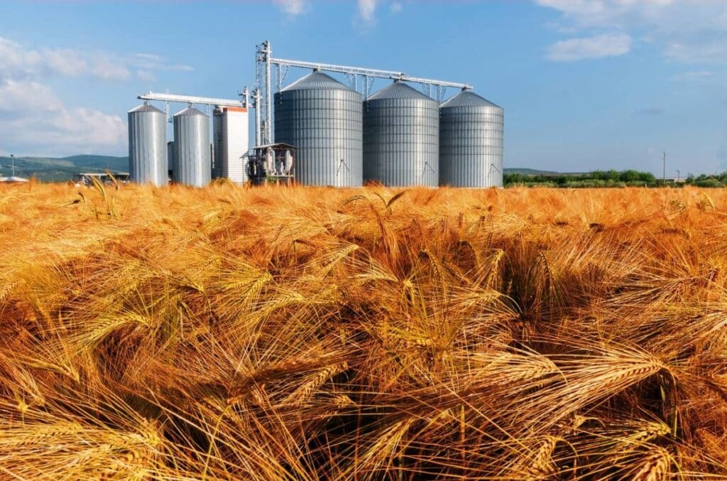Champs agricoles avec stockage de produits en plein air
