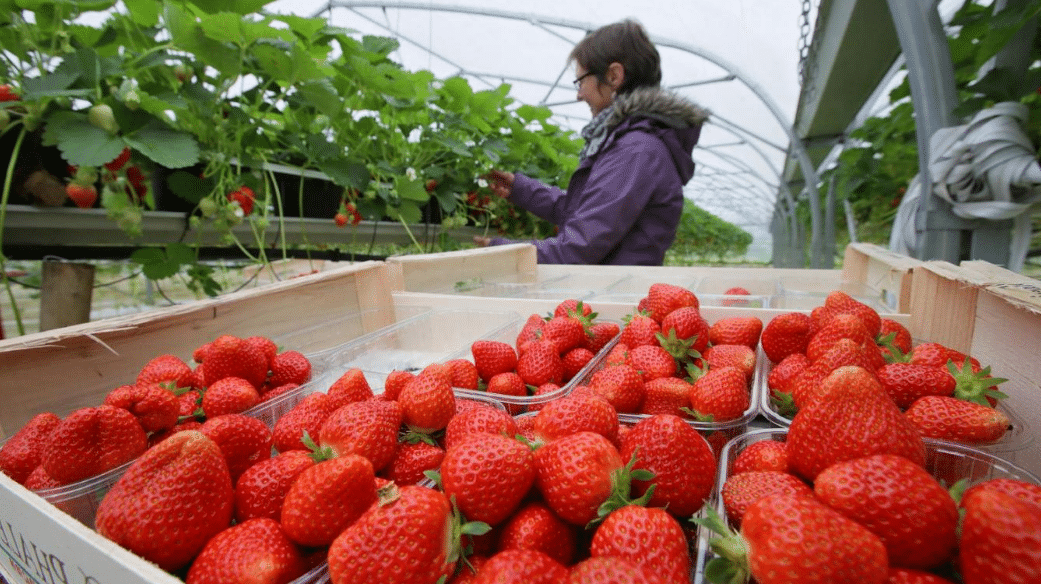 Image de circuit agricole court