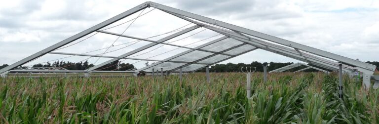 Tente de stockage pour produits agricoles