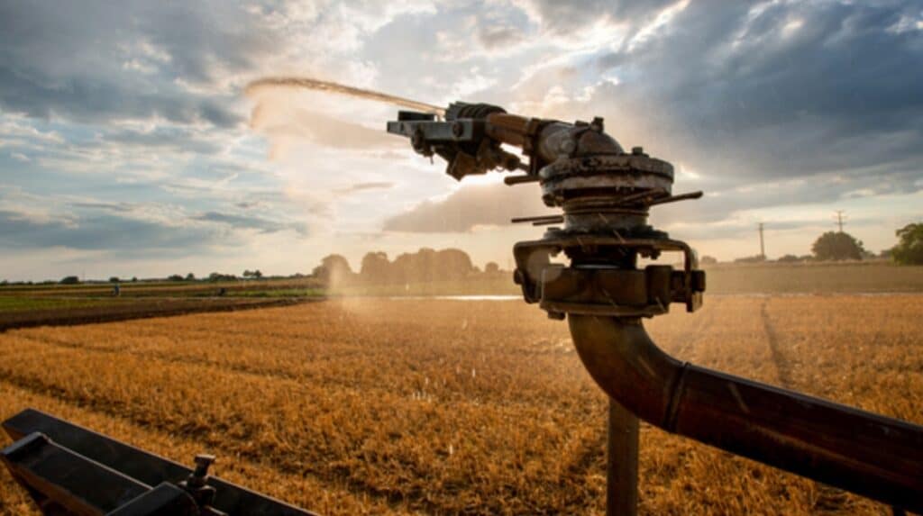 Champ agricole arrosé par un système d'irrigation