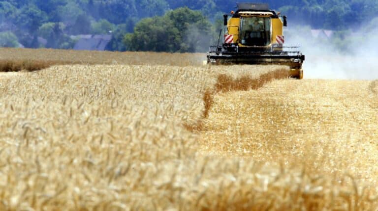 Image d'un vaste champ agricole verdoyant