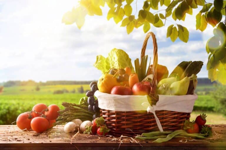 Panier de légumes frais de l'agriculture française