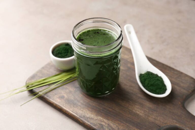 Culture de spiruline en extérieur