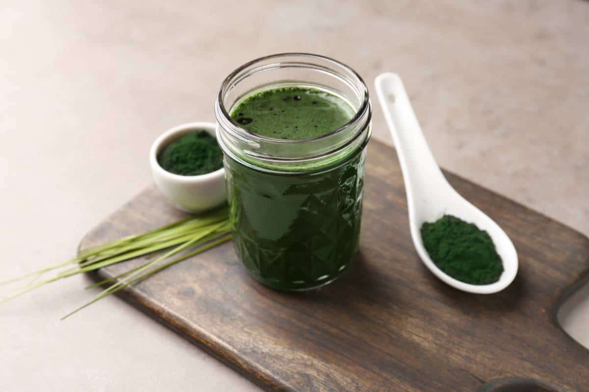 Culture de spiruline en extérieur