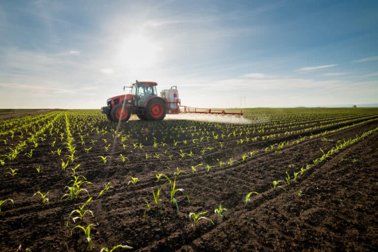 Des agriculteurs traitent les invasions de nuisibles