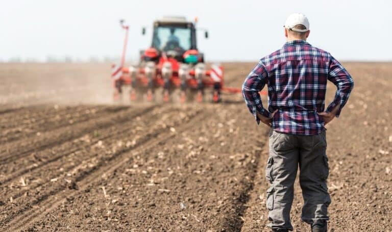 Agriculteur travaillant dans un terrain agricole