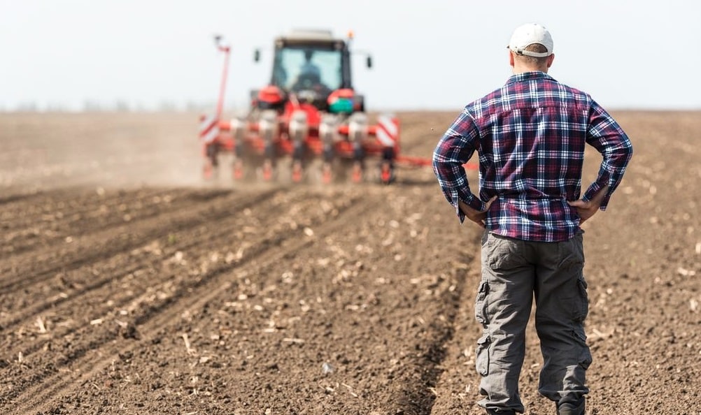 Agriculteur travaillant dans un terrain agricole