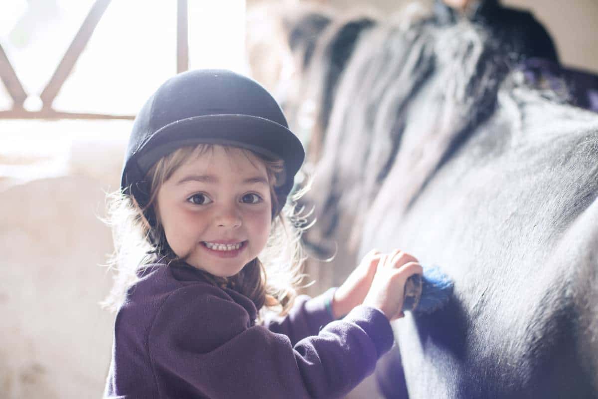 Cavalier recevant des cadeaux sur fond champêtre