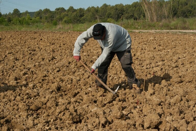 Tracteur agricole moderne sur champ de blé en France