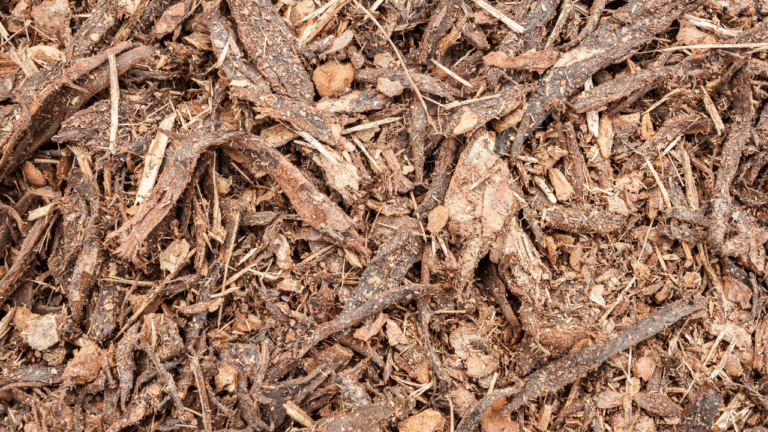 Technique de paillage avec du bois raméal fragmenté