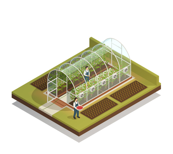 tunnel agricole