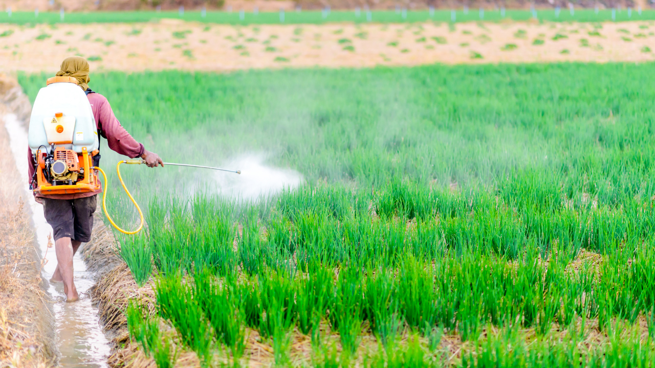 Pesticides