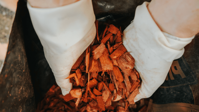 Bois utilisé pour un paillage efficace en agriculture