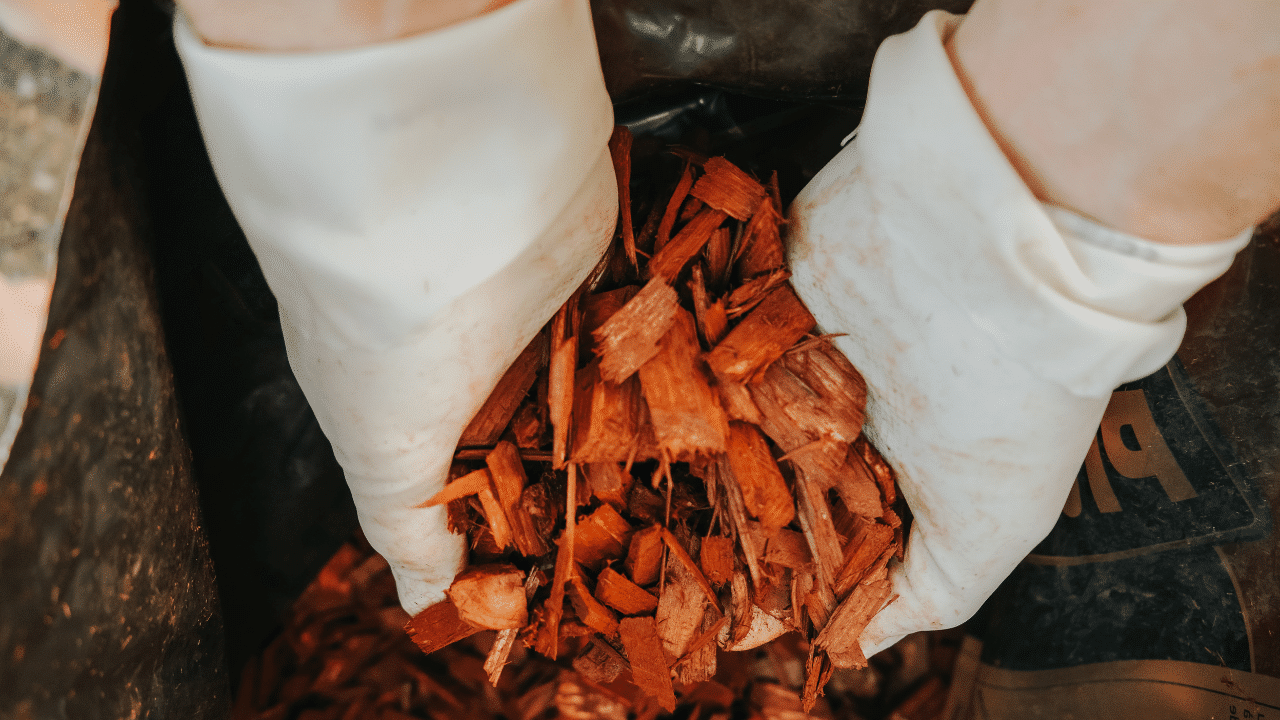 Bois utilisé pour un paillage efficace en agriculture
