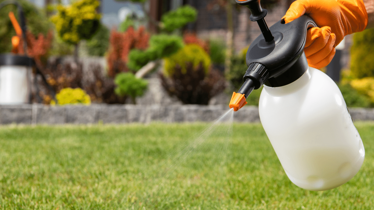 Image illustrative de pesticides pour l'agriculture