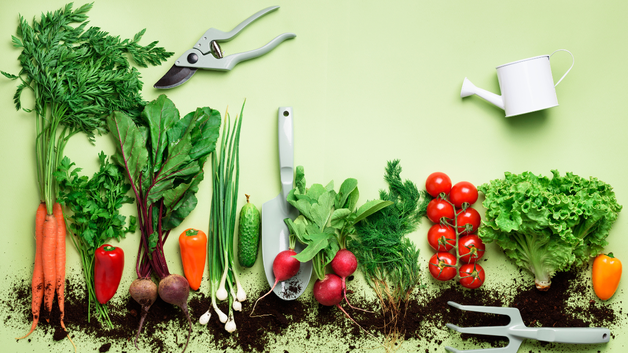 Légumes