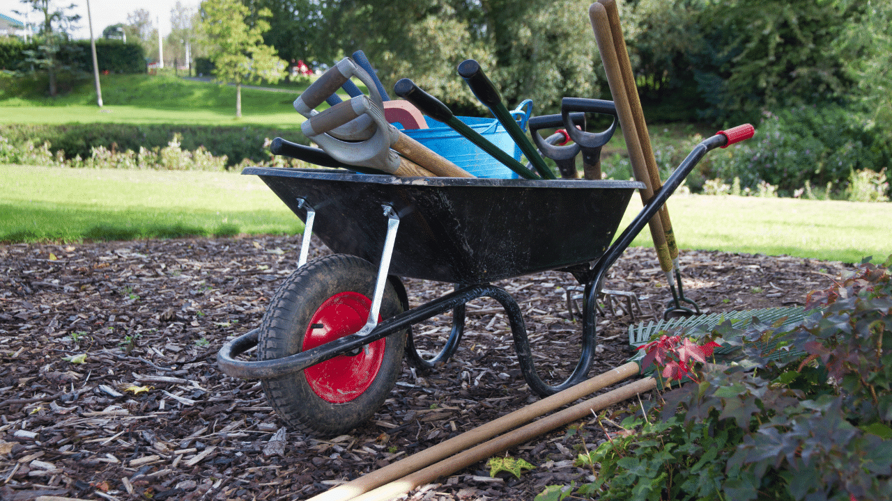 Divers outils de jardinage sur fond blanc