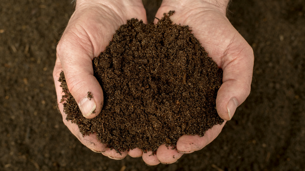 Compost