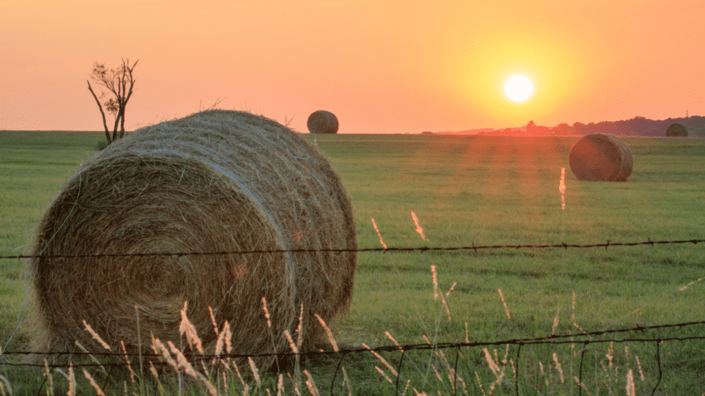 Image de matériel agricole moderne