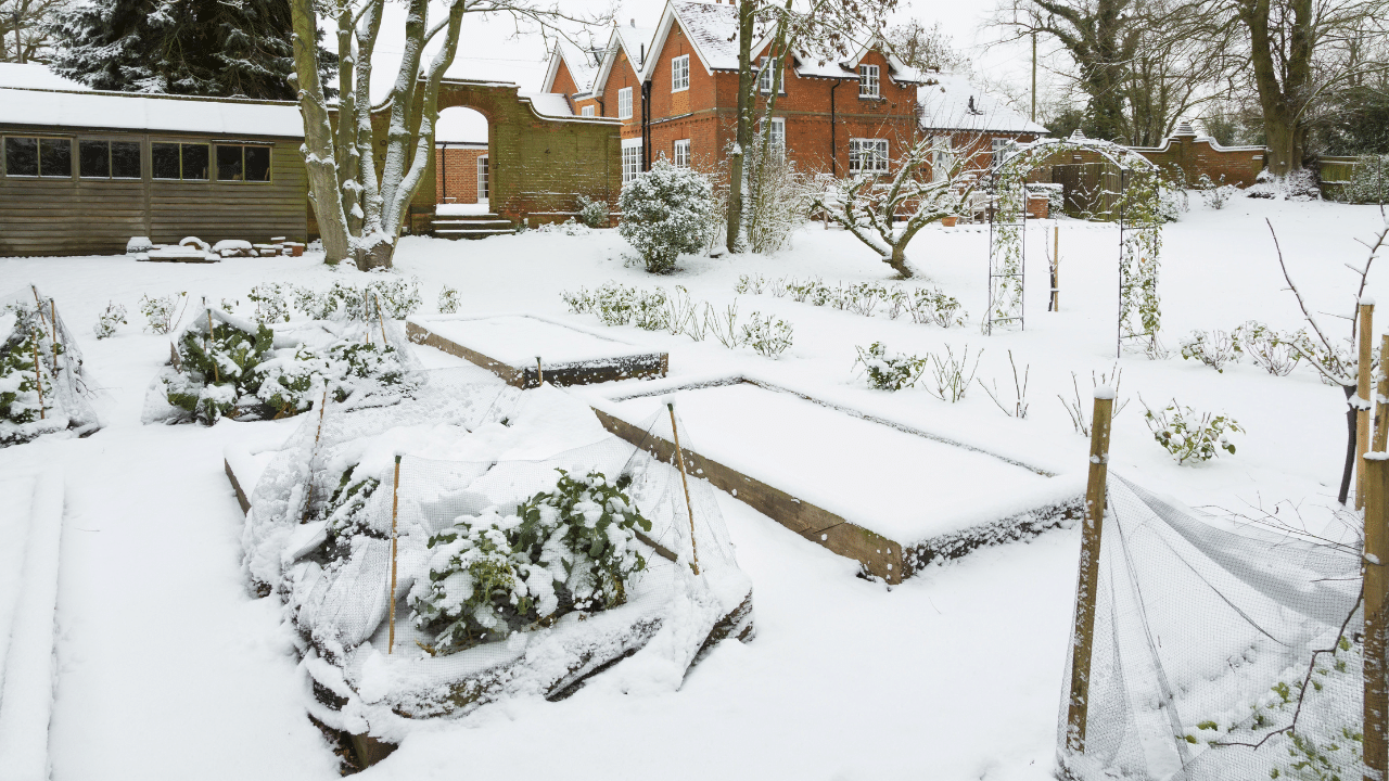 Un potager organisé en hiver