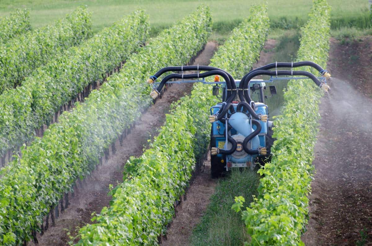 Image d'optimisation et traitement qualité en agriculture