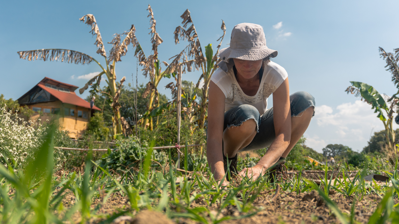Permaculture
