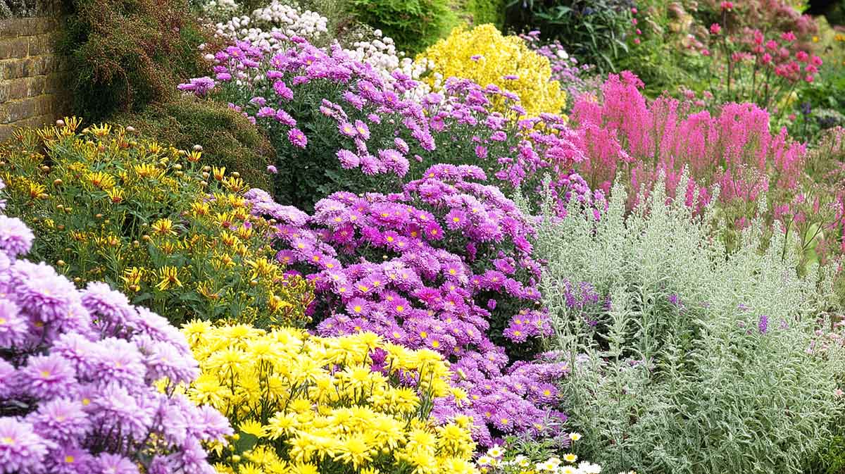 jardin anglais
