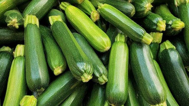 courgettes