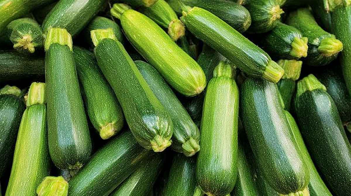 courgettes