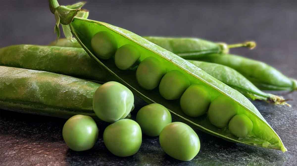 petits pois
