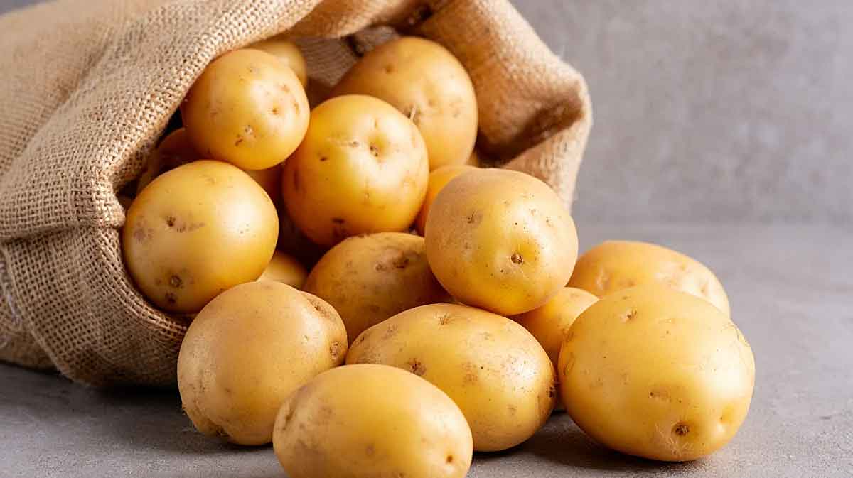 pommes de terre