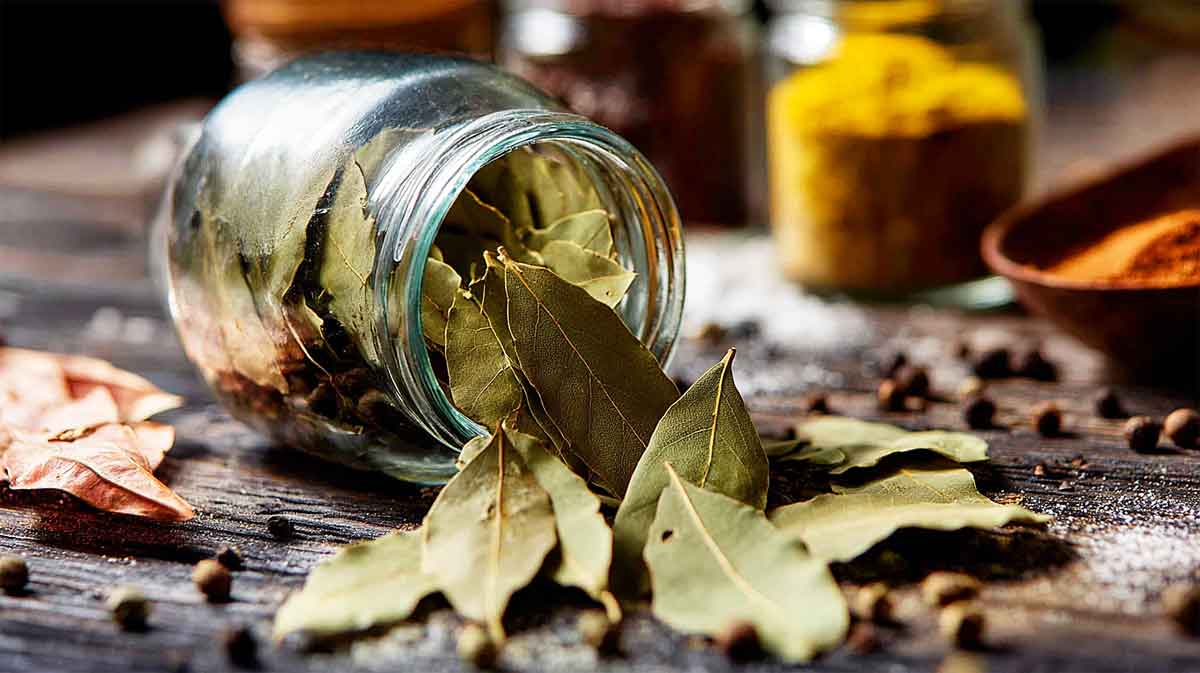 aromatique sèche