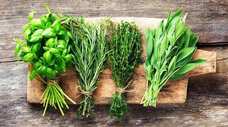 herbes aromatiques