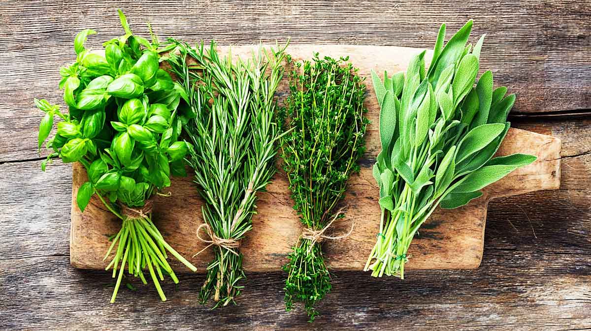 herbes aromatiques