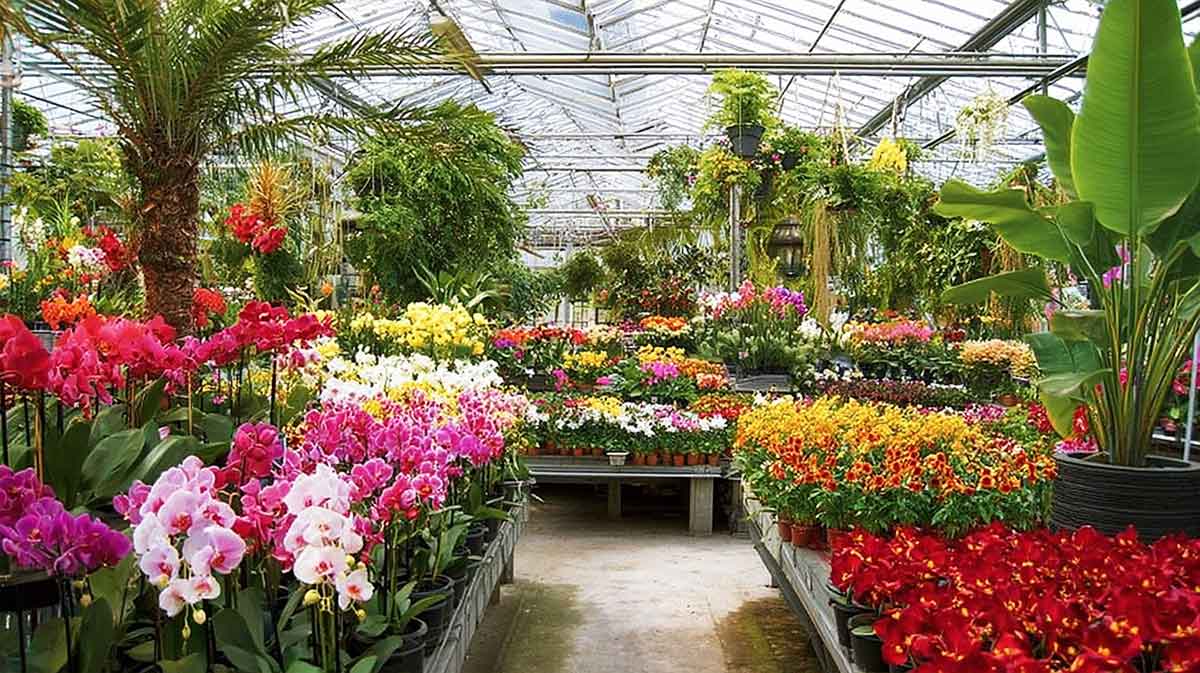 jardinerie