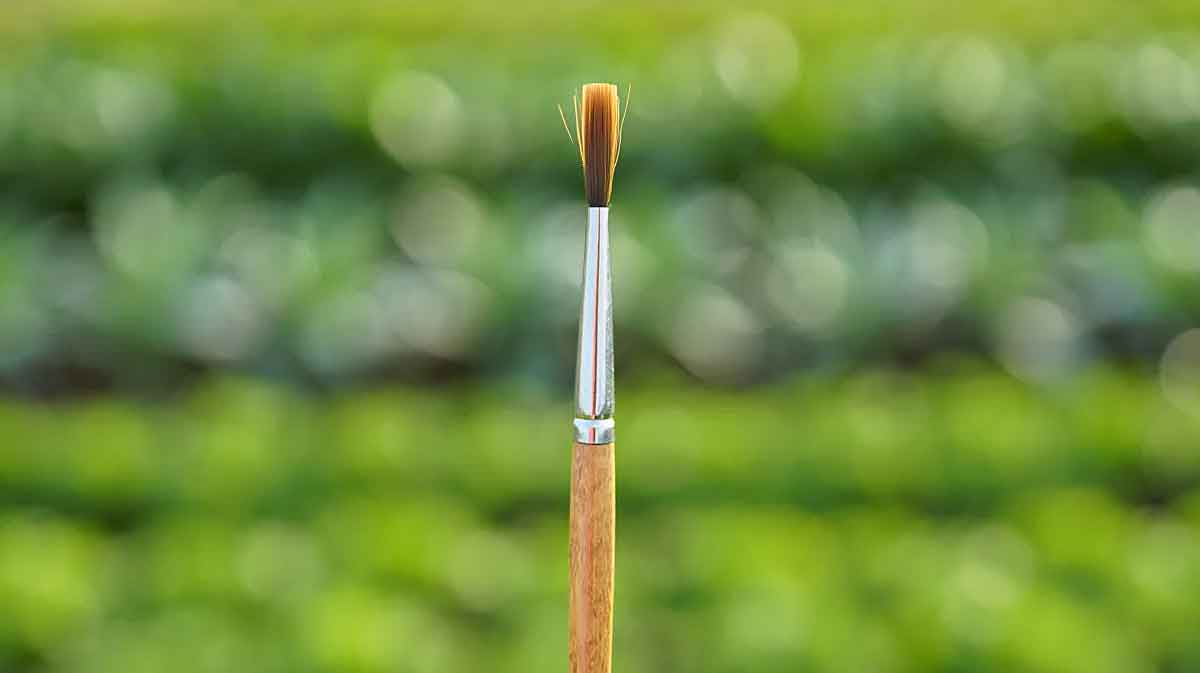 pinceau