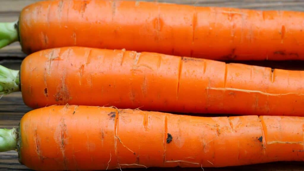 carottes