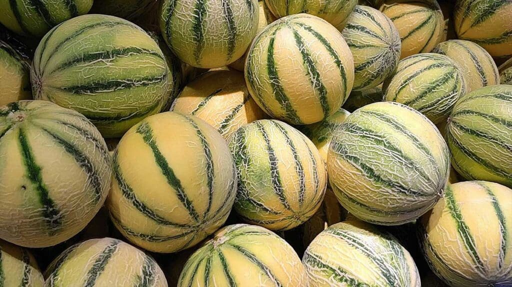 melons