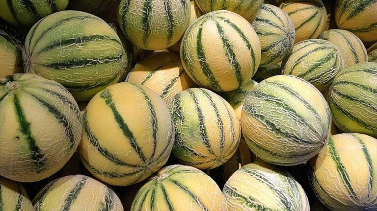 melons