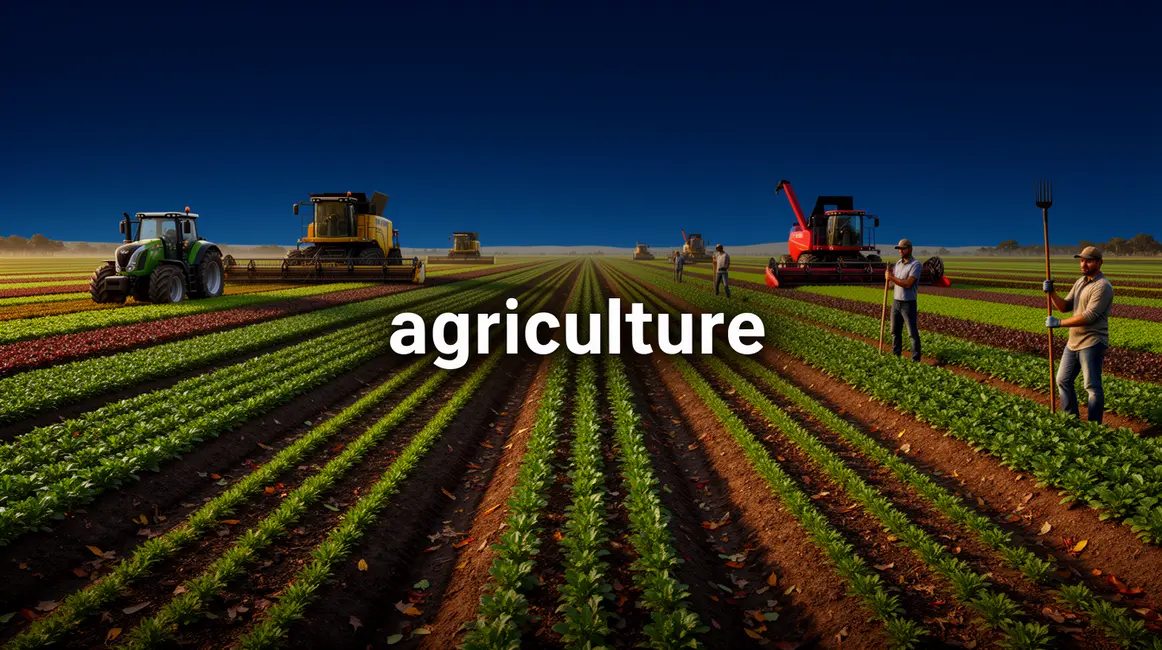 Champ agricole exploitation innovante agriculture
