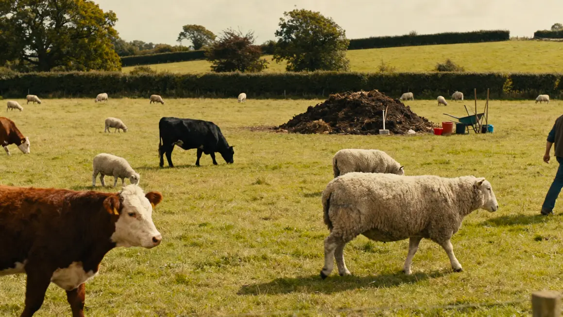 prairie elevage durable vaches moutons rotation patures compost