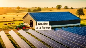Solaire a la ferme hangar panneaux solaires exploitation agricole