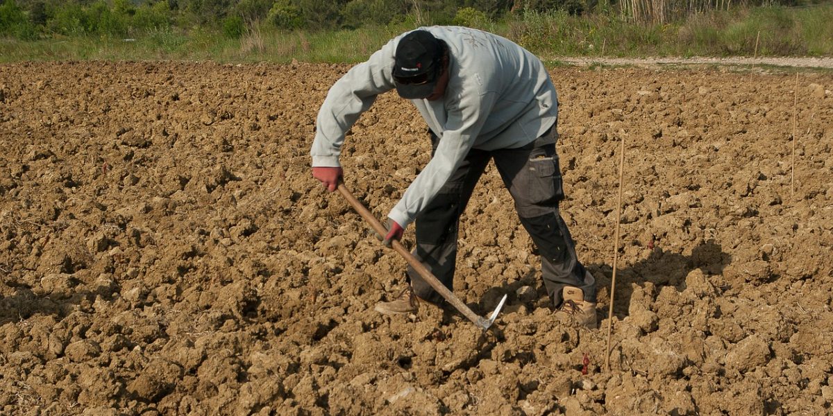 Tracteur agricole moderne sur champ de blé en France