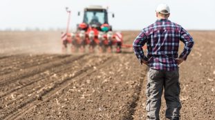 Agriculteur travaillant dans un terrain agricole