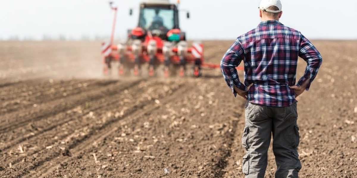 Agriculteur travaillant dans un terrain agricole