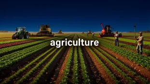 Champ agricole exploitation innovante agriculture