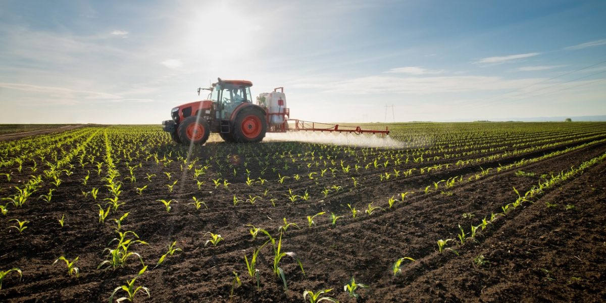 Des agriculteurs traitent les invasions de nuisibles